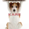 Beistelltisch Animal Mr Jack O33Cm