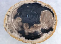 Beistelltisch Gamma Versteinertes Holz