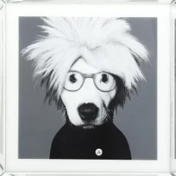 Bild Frame Mirror Artist Dog 60X60