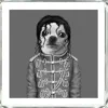 Bild Frame Mirror King Dog 60X60