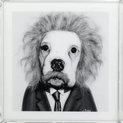 Bild Frame Mirror Smart Dog 60X60