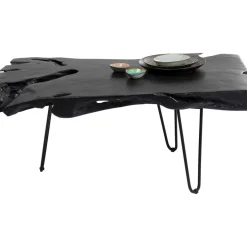 Couchtisch Aspen Schwarz 100X40