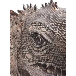 Deko Objekt Iguana 135Cm