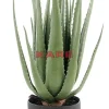 Deko Pflanze Aloe 69Cm
