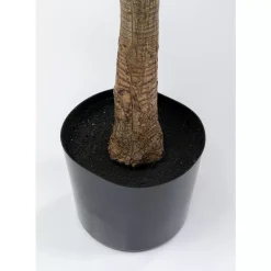 Deko Pflanze Dracaena Fragrans 180Cm