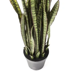 Deko Pflanze Sansewieria 155Cm