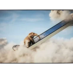 Gerahmtes Bild Elephant In The Sky 150X100Cm