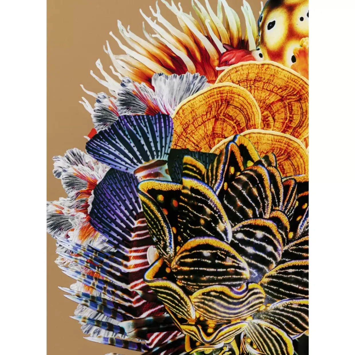 Gerahmtes Bild Flower Hair 120X120Cm