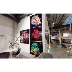 Glasbild Aqua Queen Fish 100X100Cm