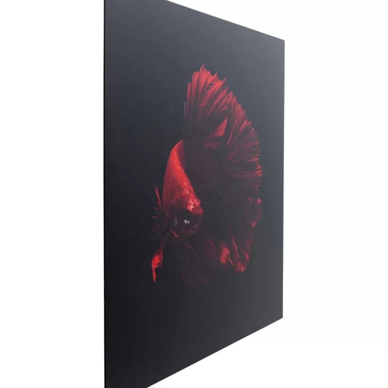 Glasbild Fire Fish 100X100Cm
