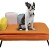 Hund/Katzenbett Diva Orange