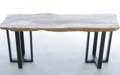 Konsole Alfredo Versteinertes Holz
