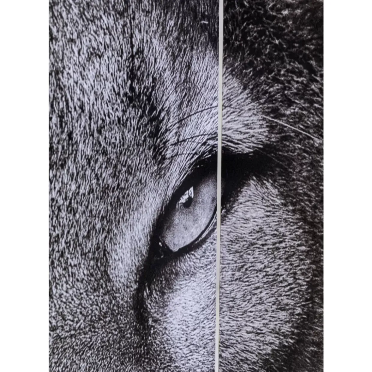 Paravent King Lion Vs Cat Girl 120X180Cm
