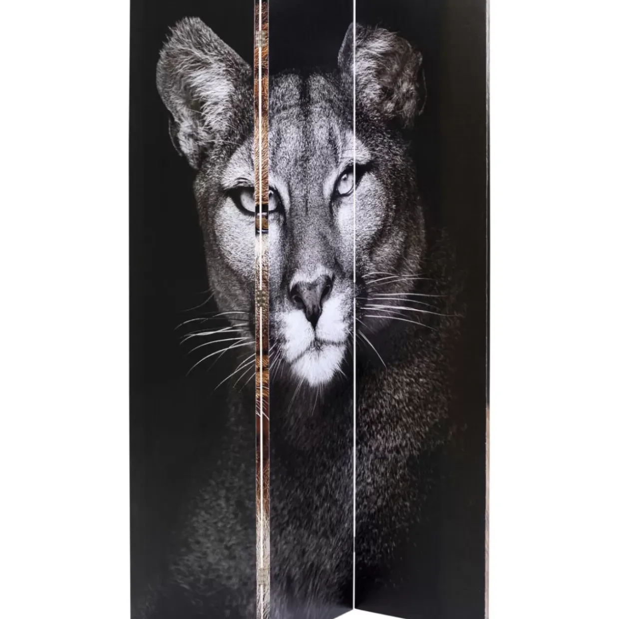 Paravent King Lion Vs Cat Girl 120X180Cm