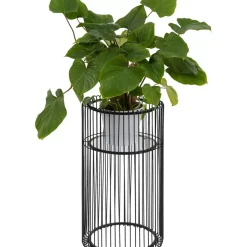 Pflanzenstander Wire Schwarz 70Cm
