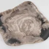 Platte Drakenhart Versteinertes Holz