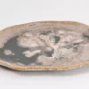 Platte Elfenbos Versteinertes Holz