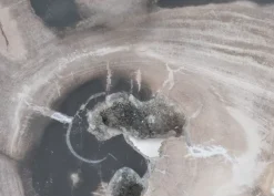Platte Kristalmeer Versteinertes Holz