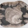 Platte Nachtwoud Versteinertes Holz