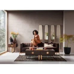 Spiegel Clip Brass 32X177Cm