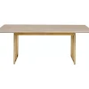 Tisch Cesaro 200X100Cm