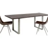 Tisch Harmony Dunkel Silber 160X80