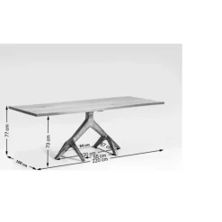 Tisch Roots Dark 220X100Cm