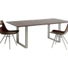 Tisch Symphony Dunkel Silber 180X90