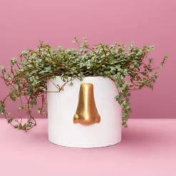 Ubertopf Nase Weiss/Gold