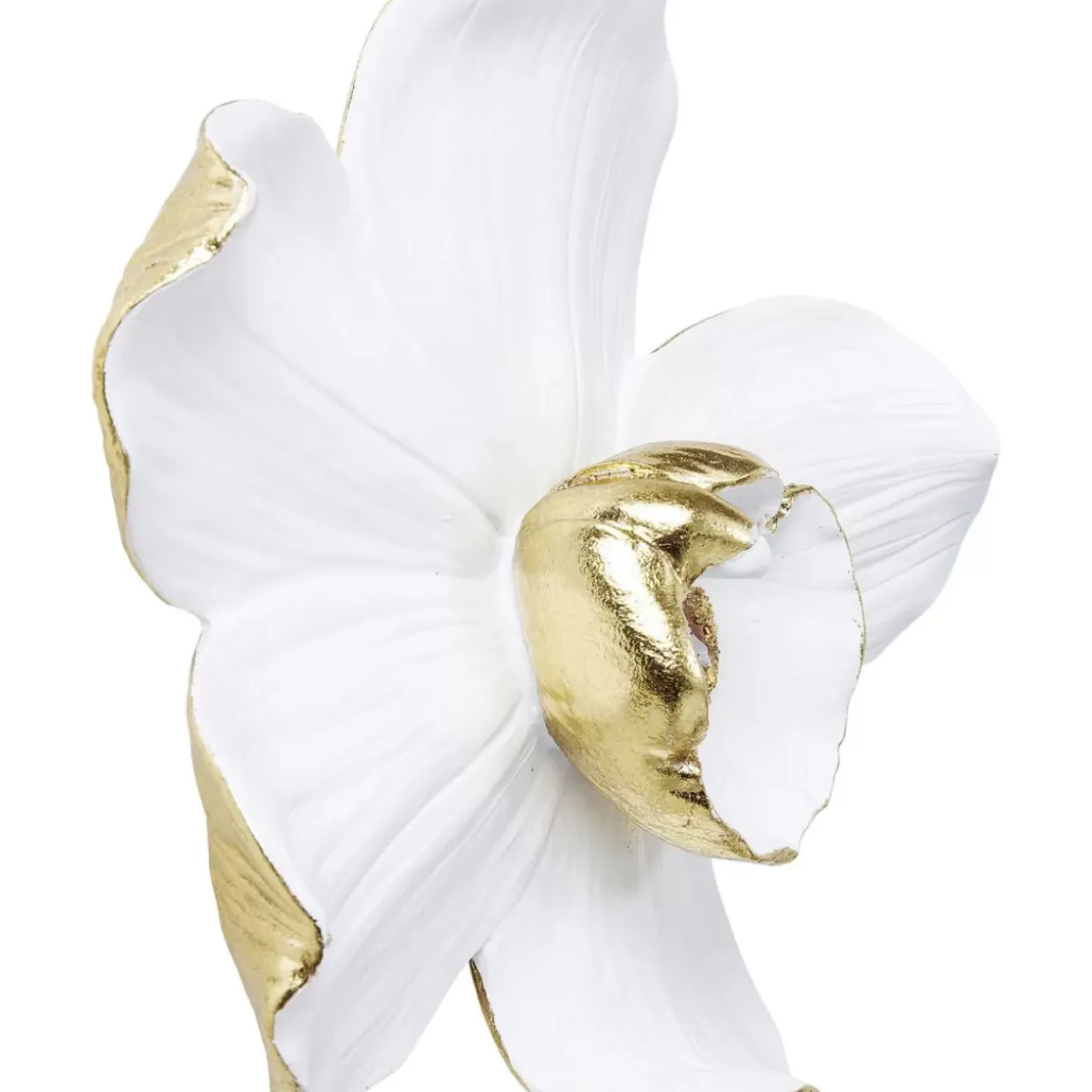 Wandschmuck Orchid Weis 25Cm